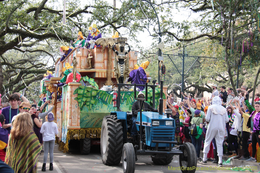Krewe-of-Thoth-2020-07871