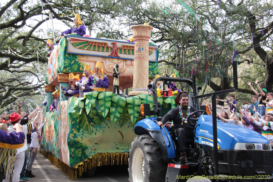 Krewe-of-Thoth-2020-07879