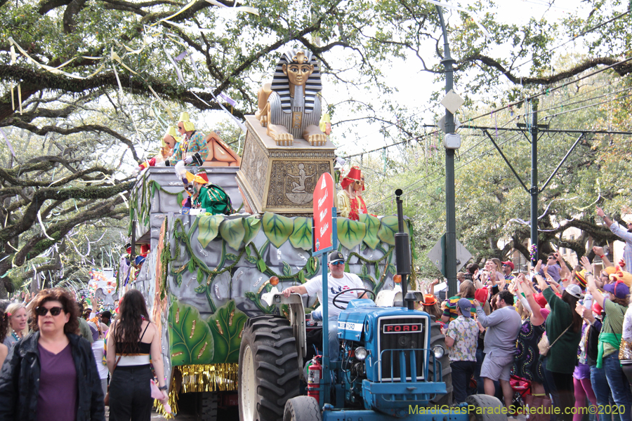 Krewe-of-Thoth-2020-07888