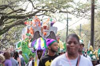 Krewe-of-Thoth-2020-07898