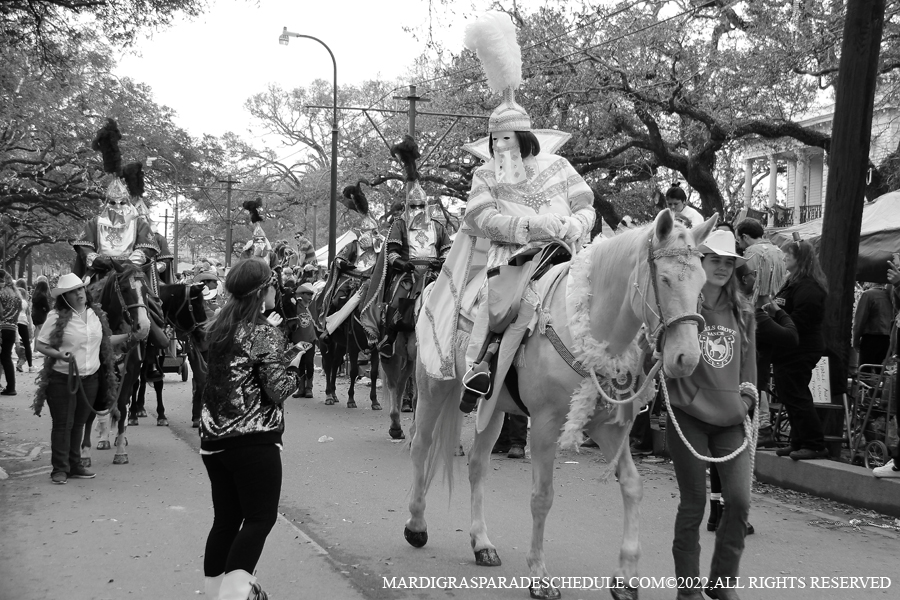 Krewe-of-Thoth-00009-2022