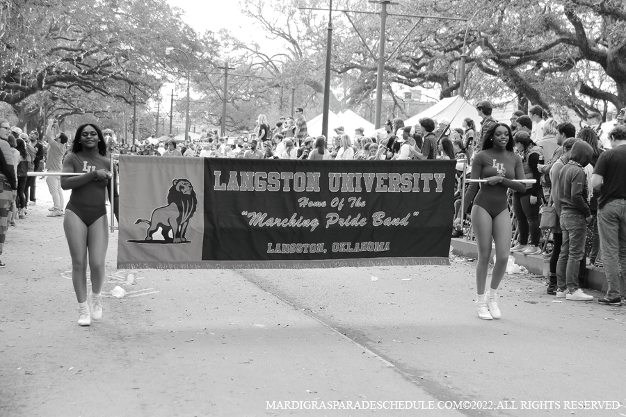 Krewe-of-Thoth-00013-2022