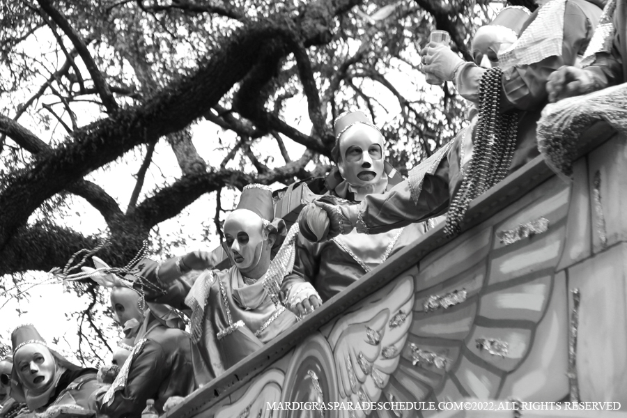 Krewe-of-Thoth-00082-2022