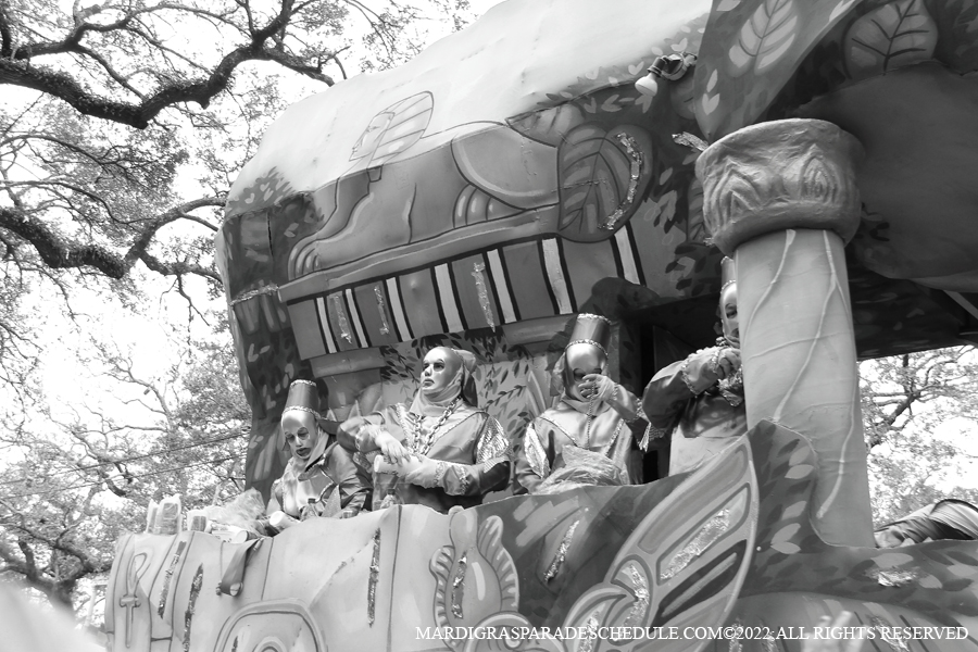 Krewe-of-Thoth-00090-2022