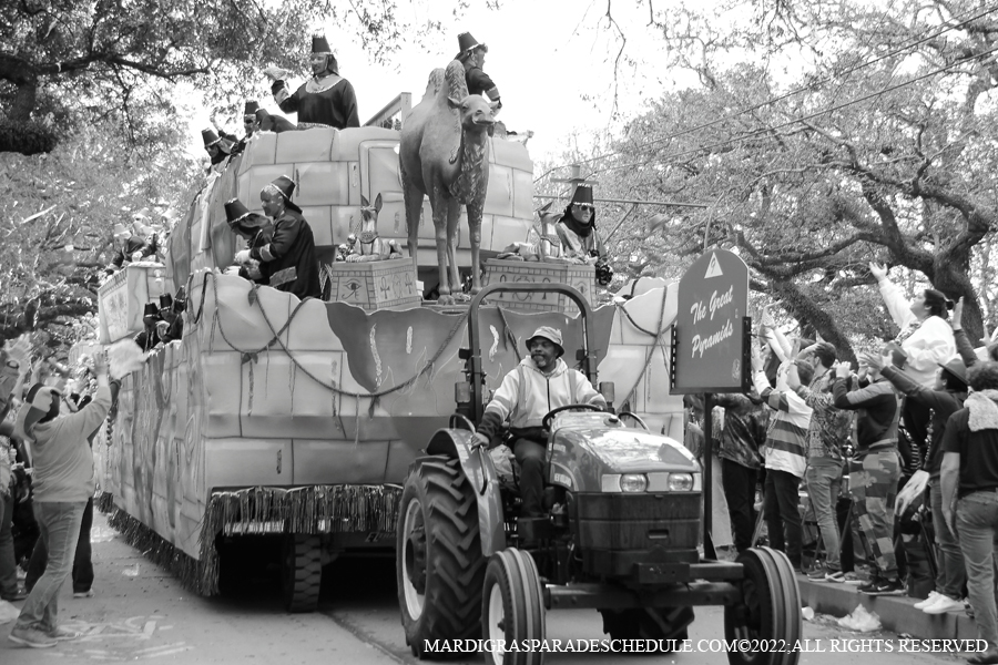 Krewe-of-Thoth-00097-2022