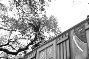 Krewe-of-Thoth-00046-2022