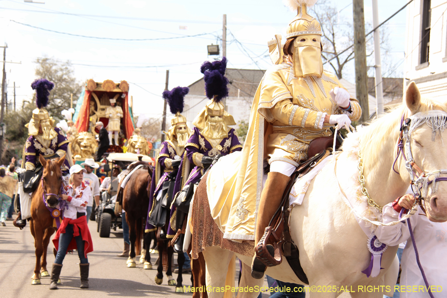 Krewe-of-Thoth-2025-1767