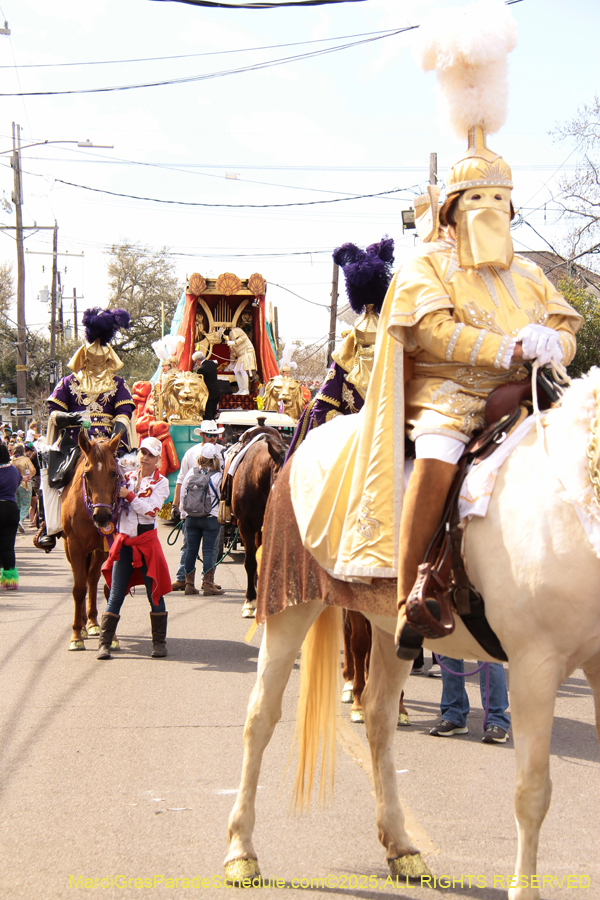 Krewe-of-Thoth-2025-1768