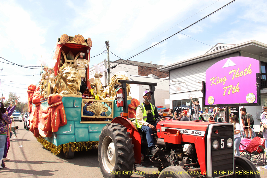 Krewe-of-Thoth-2025-1769