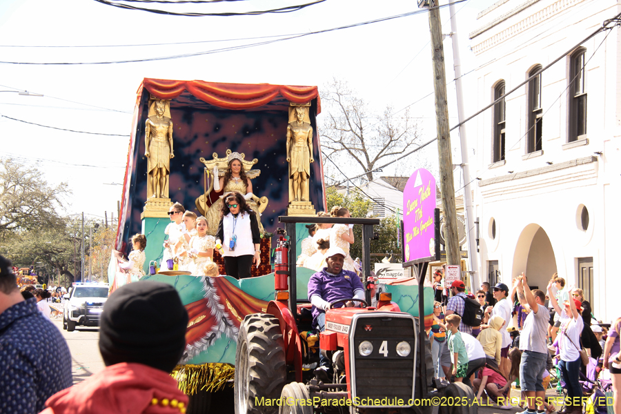 Krewe-of-Thoth-2025-1778