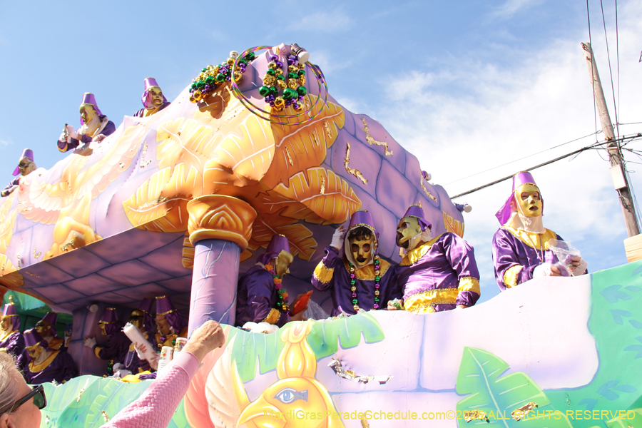Krewe-of-Thoth-2025-1800