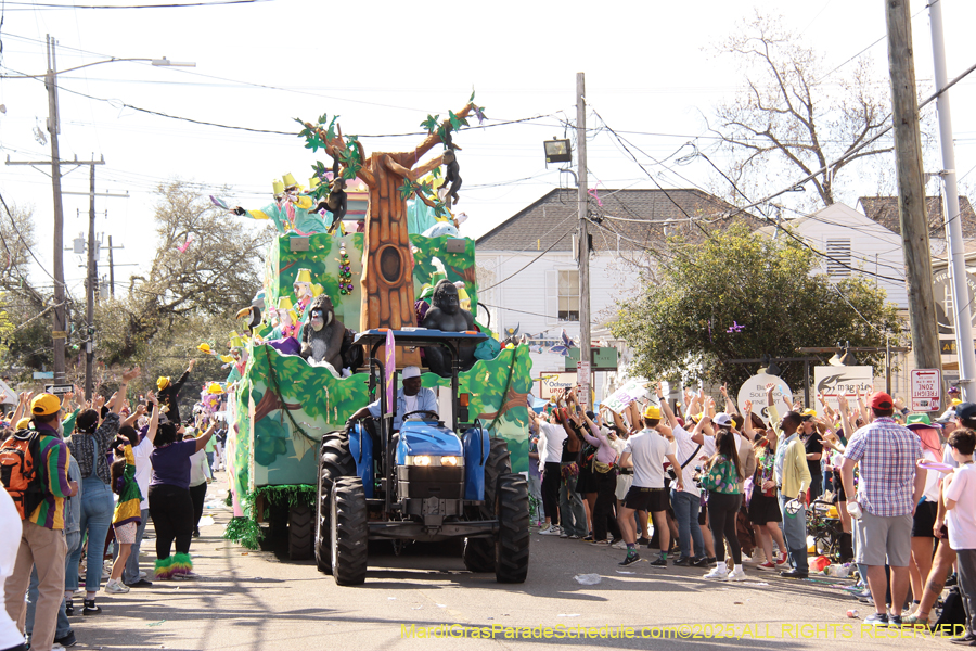 Krewe-of-Thoth-2025-1847