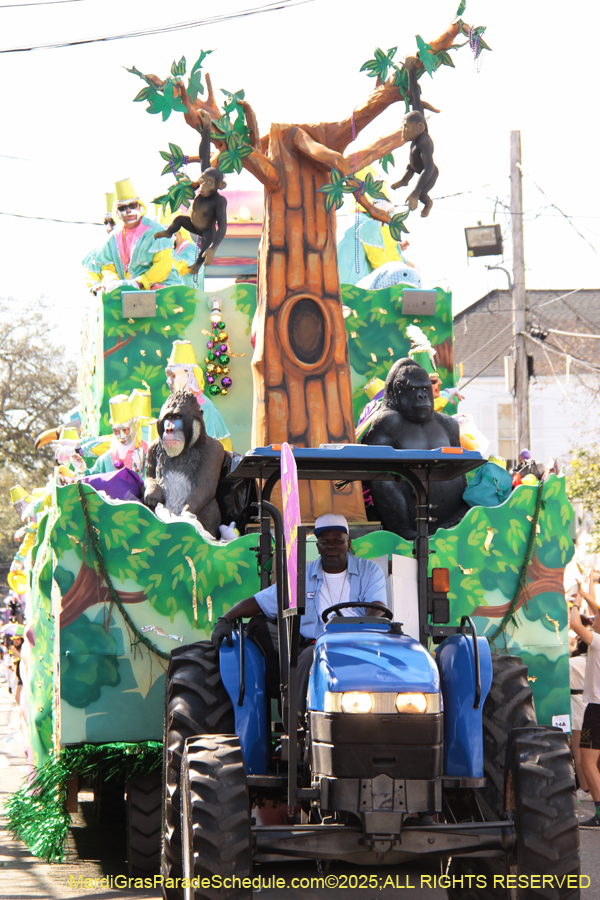 Krewe-of-Thoth-2025-1848