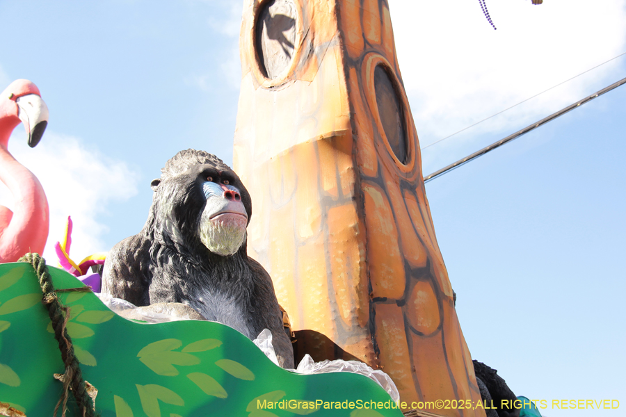 Krewe-of-Thoth-2025-1849