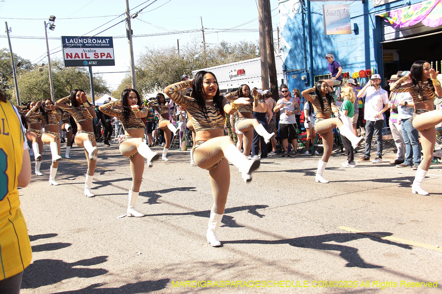 Krewe-of-Thoth-2026-8878