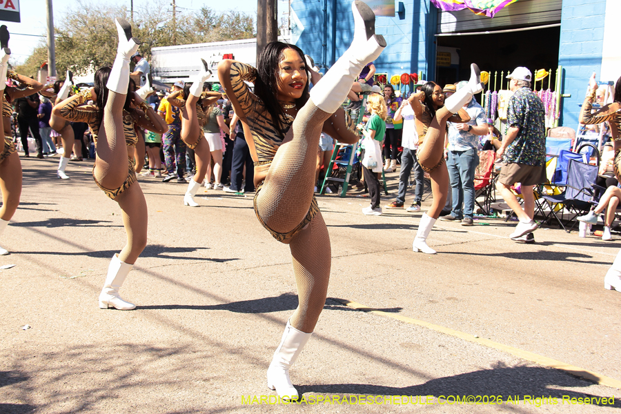 Krewe-of-Thoth-2026-8879