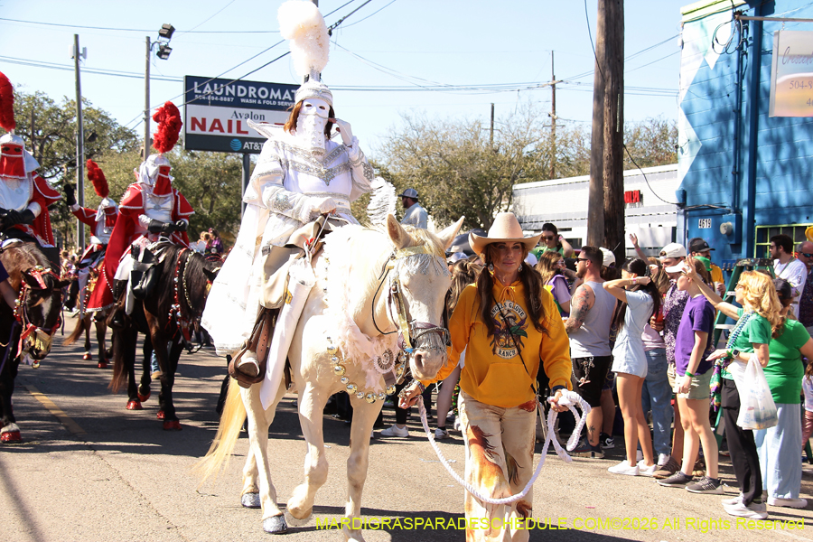 Krewe-of-Thoth-2026-8884