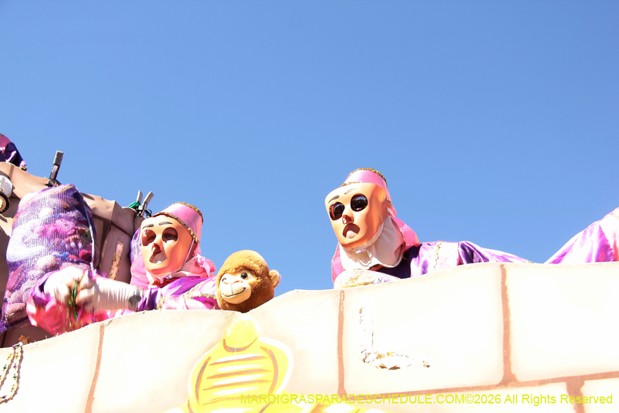 Krewe-of-Thoth-2026-8926