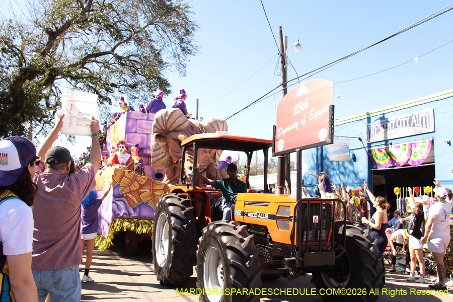 Krewe-of-Thoth-2026-8937