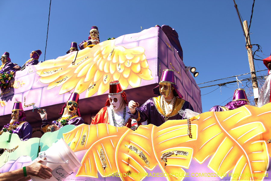 Krewe-of-Thoth-2026-8939