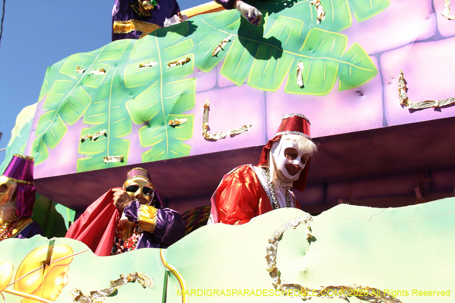 Krewe-of-Thoth-2026-8943