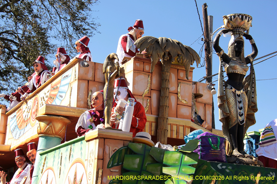 Krewe-of-Thoth-2026-8956