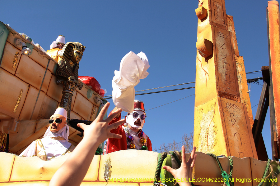 Krewe-of-Thoth-2026-8986