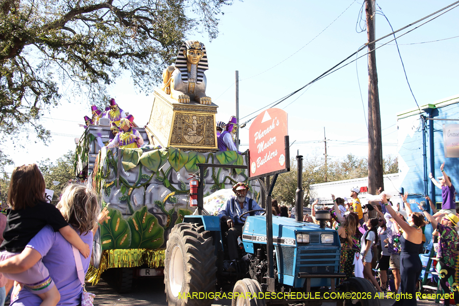 Krewe-of-Thoth-2026-9019