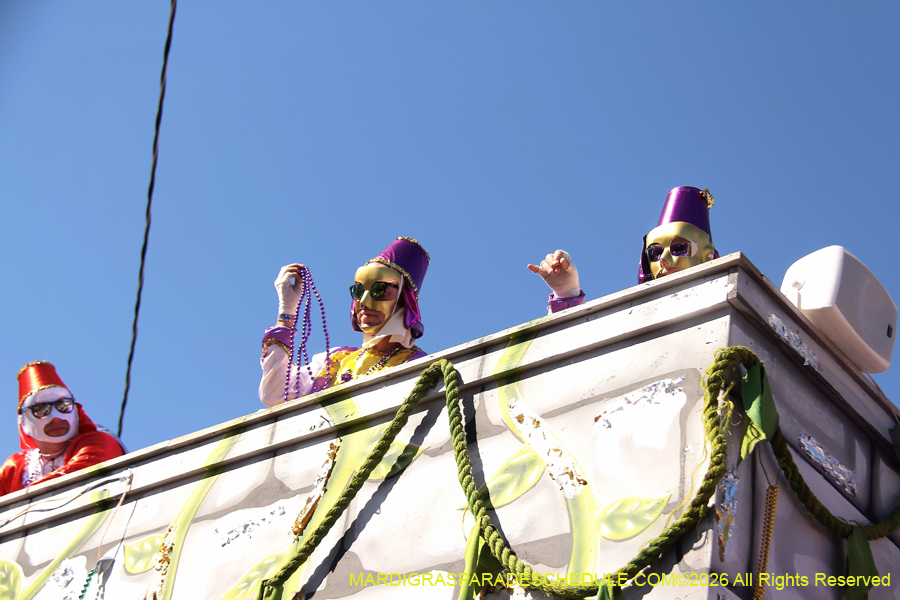 Krewe-of-Thoth-2026-9022