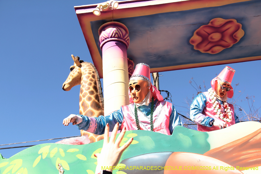 Krewe-of-Thoth-2026-9073