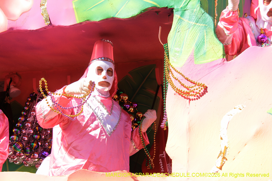 Krewe-of-Thoth-2026-9155