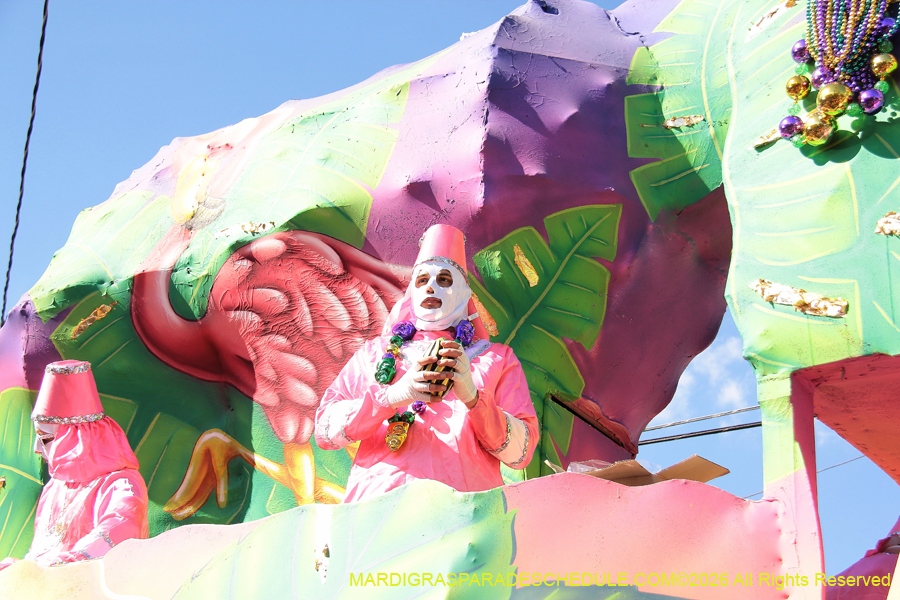 Krewe-of-Thoth-2026-9157