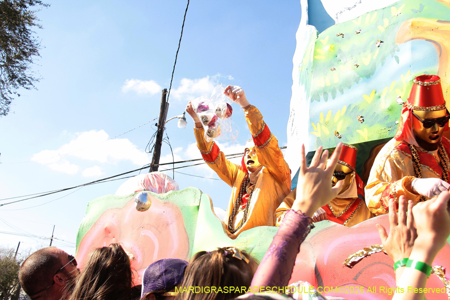 Krewe-of-Thoth-2026-9331