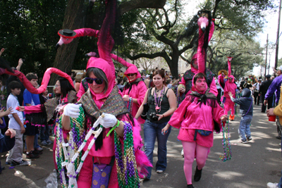 Krewe-of-Tucks-2008-New-Orleans-Mardi-Gras-Parade-0375