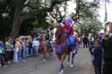 Krewe-of-Tucks-2008-New-Orleans-Mardi-Gras-Parade-0365
