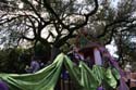 Krewe-of-Tucks-2008-New-Orleans-Mardi-Gras-Parade-0419