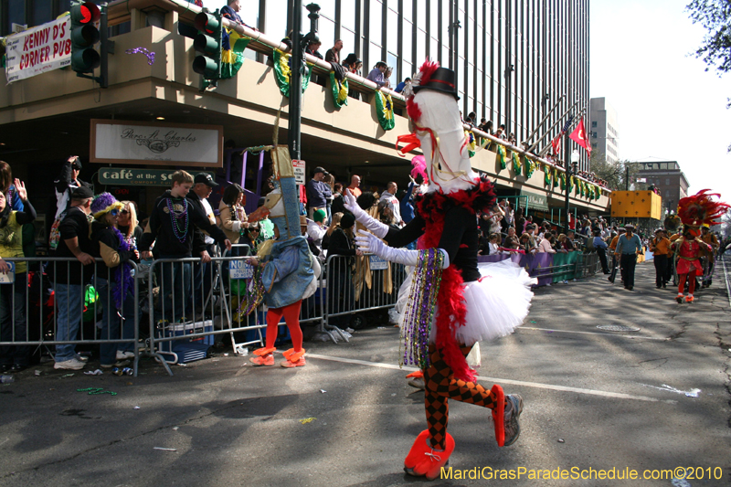Krewe-of-Tucks-2010-Mardi-Gras-New-Orleans-7682