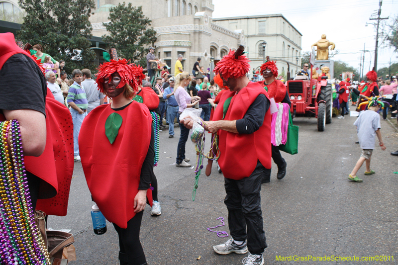 Krewe-of-Tucks-2011-0081