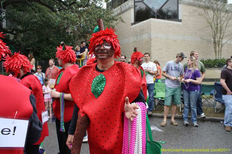 Krewe-of-Tucks-2011-0082