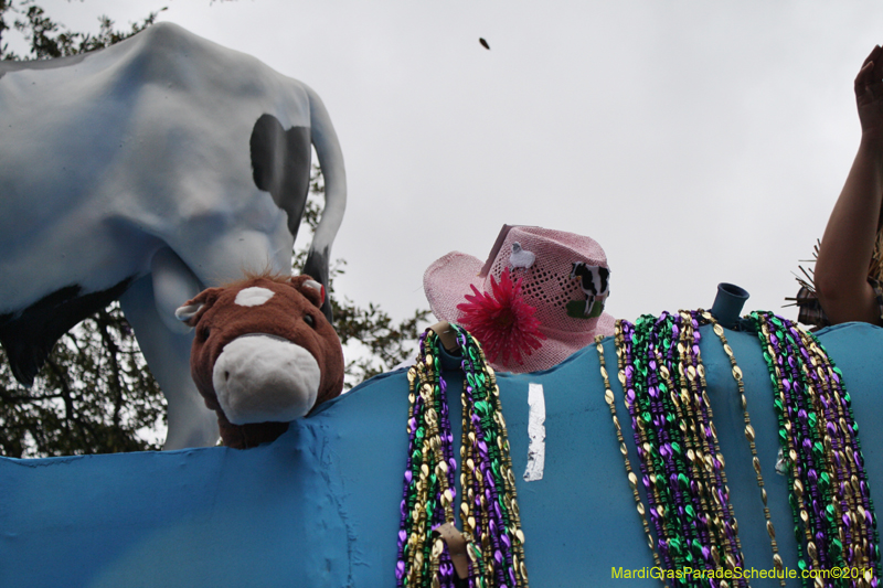 Krewe-of-Tucks-2011-0126