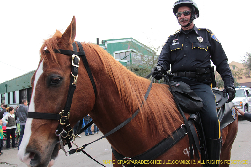 Krewe-of-Tucks-2013-1017