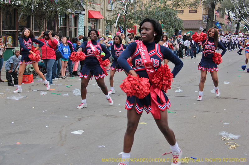 Krewe-of-Tucks-2013-1398