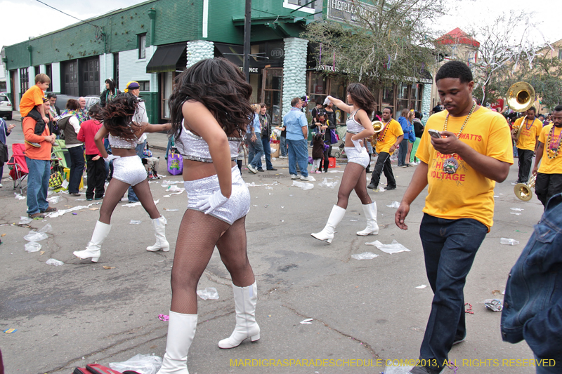 Krewe-of-Tucks-2013-1504