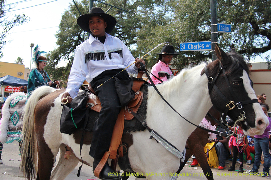 2014-Krewe-of-Tucks-11131