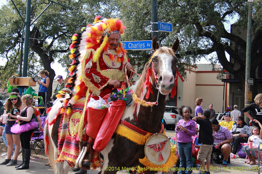 2014-Krewe-of-Tucks-11133