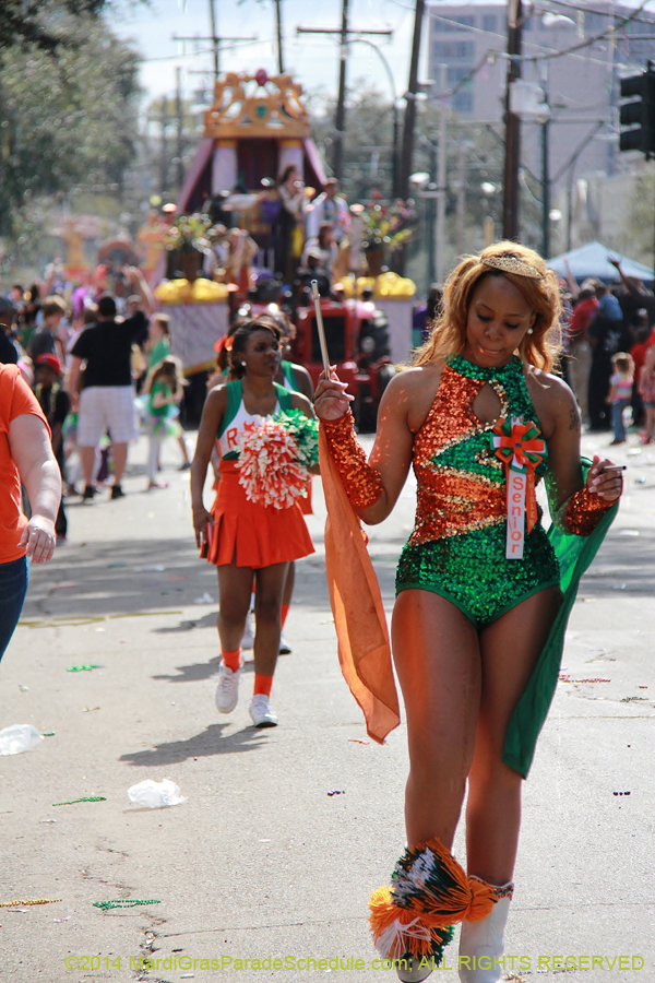 2014-Krewe-of-Tucks-11156