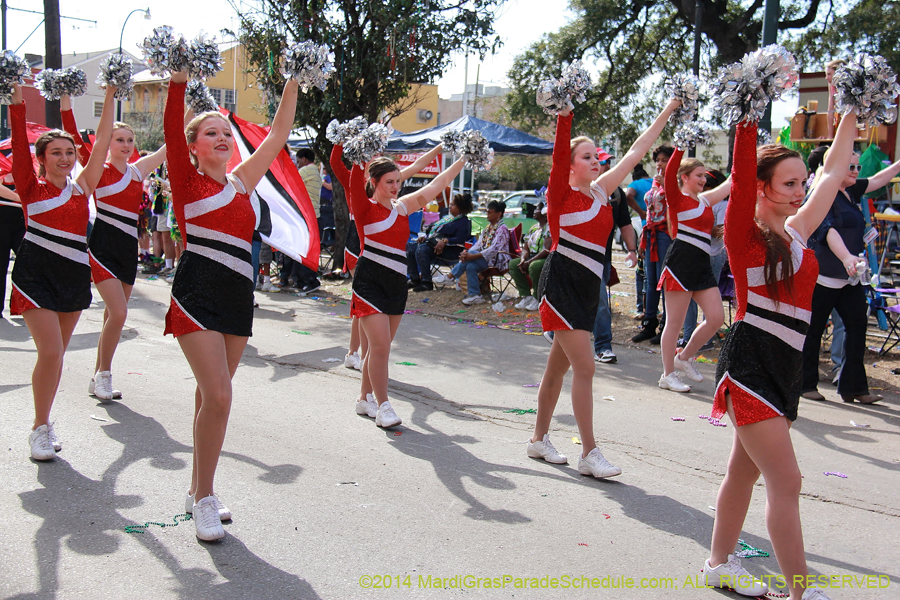 2014-Krewe-of-Tucks-11172