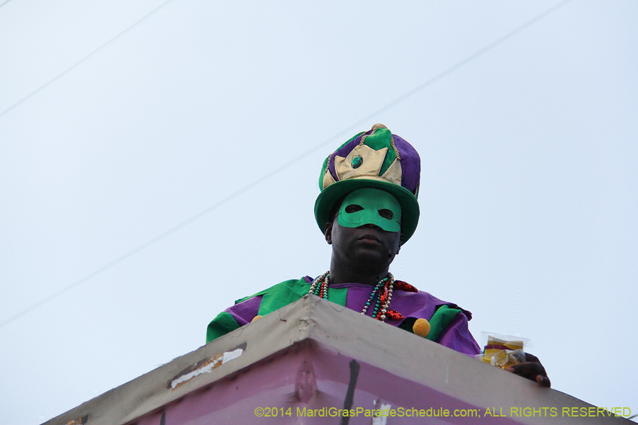 2014-Krewe-of-Tucks-11180