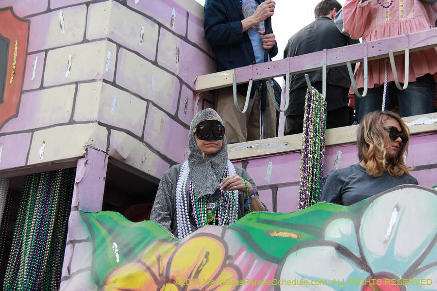 2014-Krewe-of-Tucks-11181