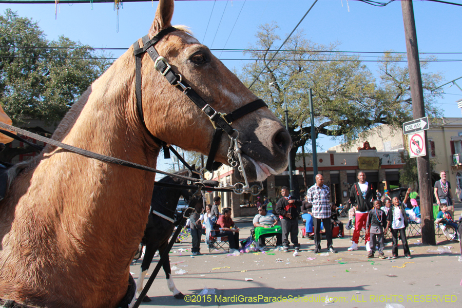 Krewe-of-Tucks-2015-15918